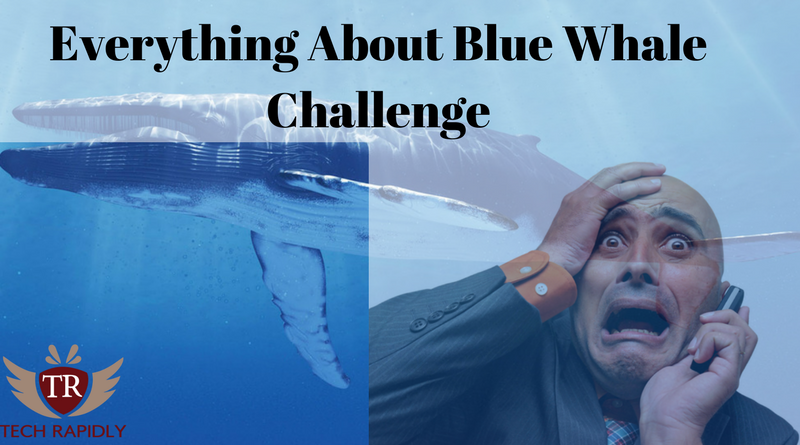 Everything About Blue Whale Challenge